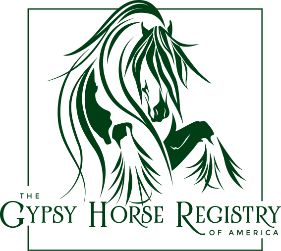 Gypsy Horse Registry Gifts & Home Decor
