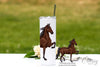 American Saddlebred Horse Tumbler, Saddlebred Horse Gifts for Women, Saddleseat Horse Travel Mug, Equestrian Tumbler, Equestrian Gifts